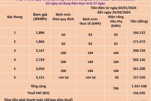 Nguyên nhân hoá đơn tiền điện tăng cáo trong tháng vừa qua