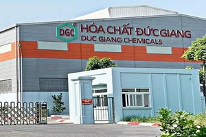 DGC của Chủ tịch Đào Hữu Huyền báo lãi giảm tốc 44%