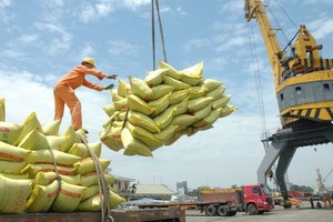 'Vua gạo' Angimex liên tục nhượng vốn công ty con, liên doanh, liên kết 