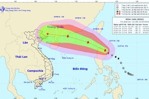 Bão Nida có thể chuyển hướng về phía Bắc Bộ, gây mưa lớn 