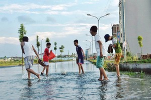 Phố Hà Nội vịt lội tung tăng