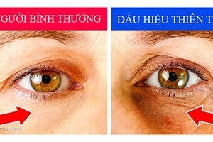 7 dấu hiệu nhận biết thiên tài cha mẹ cần đặc biệt lưu ý