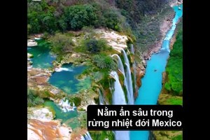 Video: Trốn đời tại "ốc đảo thần tiên" đẹp quên sầu ở Mexico