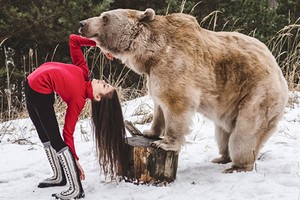 Mãn nhãn những động tác uốn dẻo của cô gái với gấu nâu khổng lồ