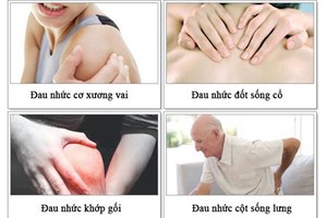 Video: “Thần dược” chữa đau nhức xương khớp đơn giản dễ tìm