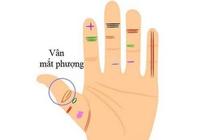 Có những đường chỉ tay này, bạn sẽ có tiền tiêu cả đời không hết