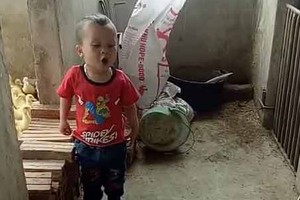 Video bé 3 tuổi cãi nhau siêu đáng yêu với chó khiến dân mạng share chóng mặt