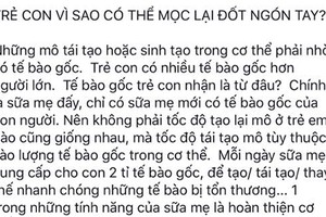 Những “triết lý” kỳ quặc của trường phái thuận tự nhiên