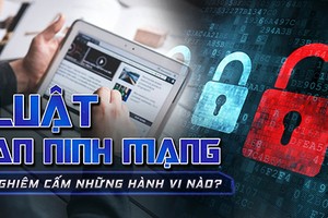 Video: Luật An ninh mạng cấm người dùng Internet những gì?