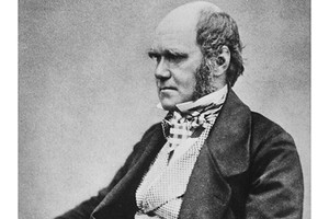 Hôn nhân bí ẩn của nhà tự nhiên học Charles Darwin