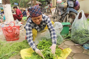 Tước 200kg rau bí đổ cho nhà hàng, cặp vợ chồng thu tiền triệu