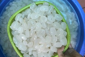 Những tác dụng không ngờ của hạt đác khiến chị em "săn lùng"