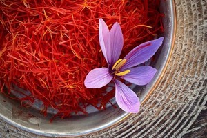 Video: Vì sao saffron là gia vị đắt nhất thế giới, hơn 10.000 USD/kg?