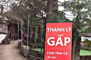 Ế quá lâu, chàng trai 24 tuổi bị mẹ treo biển "thanh lý gấp"