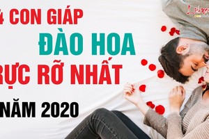 Video: Được Thần tình yêu “bắn xuyên tim”, con giáp này tình duyên vượng sắc trong năm 2020