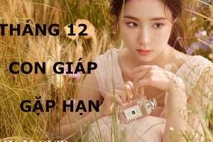 Video: Top con giáp bị tiểu nhân quấy phá, khó khăn muôn trùng tháng 12/2019