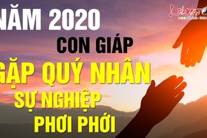 Video: Top con giáp được quý nhân phù trợ, sự nghiệp hanh thông năm 2020