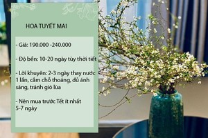 Chị em rộ mốt chơi hoa nhập khẩu giá rẻ, khoảng 200 ngàn/ bó