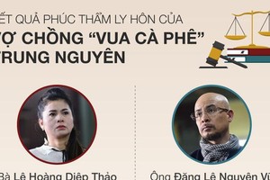 Số phận, tiền bạc Lê Hoàng Diệp Thảo và Đặng Lê Nguyên Vũ sau ly hôn