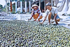 Làm giàu khác người: Cả làng đổ bỏ, nhặt rác này về phơi kiếm bộn tiền