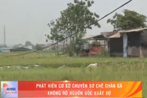 Video: Phát hiện cơ sở sơ chế chân gà không rõ nguồn gốc 