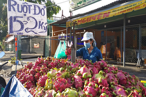 Thanh long giá rẻ, đổ đống bán đầy đường