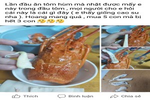 Ăn tôm hùm 'cao su', thiếu nữ 'cầu cứu' dân mạng và cái kết