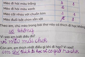 Học sinh tiểu học trả lời bá đạo về giờ ra chơi