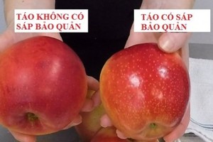 Mua táo trong siêu thị hãy tránh xa 5 loại này