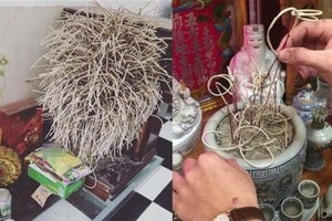 Cuối năm rút chân hương làm đúng những bước này để hút tài lộc