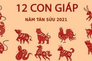 Những tháng vận hạn của 12 con giáp trong năm Tân Sửu 2021