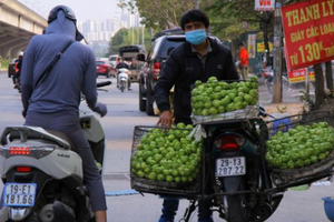 Hoa quả giá rẻ không rõ nguồn gốc bán tràn lan trên phố Hà Nội