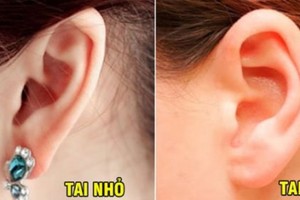 Nhìn tướng tai vài giây biết ngay vận mệnh giàu sang hay nghèo khó cả đời 