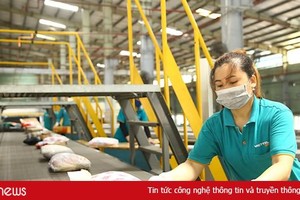 Bộ TT&TT: Doanh nghiệp bưu chính cần chú trọng ứng dụng công nghệ số để hạn chế tiếp xúc