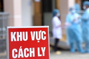 Sáng 16/8: Hơn 600 bệnh nhân COVID-19 đang phải điều trị ICU và ECMO