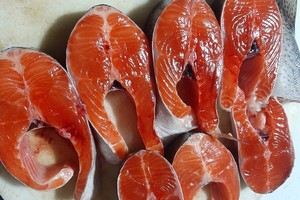 Cá hồi Sapa giảm xuyên đáy, chợ mạng giá chỉ 125 nghìn/kg