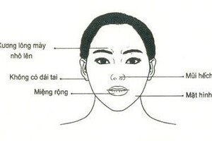 Phụ nữ có 6 nét tướng này coi chừng tán lộc, hôn nhân đứt gánh 