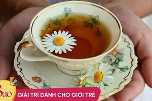 Trò thâm hiểm của con dâu sau cốc trà hoa cúc biếu bố mẹ chồng