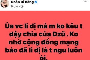 Đoàn Di Băng có màn đáp trả cực gắt giữa tin đồn ly hôn