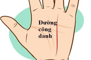 Dấu hiệu bàn tay công danh vượng phát, không lo thiếu tiền