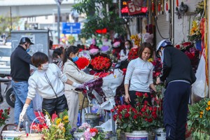 Khách không còn chi bạo tay cho hoa Valentine