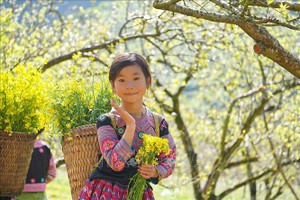 Vẻ đẹp bình yên, thơ mộng của cao nguyên Mộc Châu