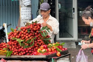 Vải thiều mất mùa, giá tăng vùn vụt