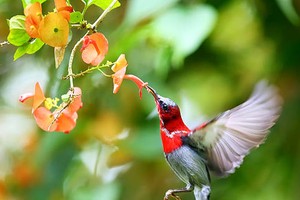 Người sinh ngày Âm lịch này giỏi kết bạn, làm ăn phát đạt