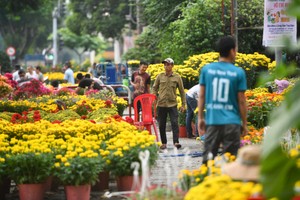 'Mười mấy năm bán hoa Tết chưa năm nào ế như năm nay'