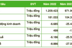 Lỗ 27 tỷ đồng năm 2023, doanh thu Điện lực Miền Trung sụt mạnh