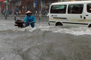 Thiên tai ở Việt Nam: Tăng quy mô và chu kỳ lặp lại