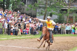 Đua ngựa cưới vợ xinh ở Bắc Hà