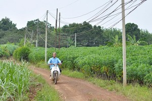 Vì sao dự án sân bay Long Thành "giậm chân tại chỗ"?