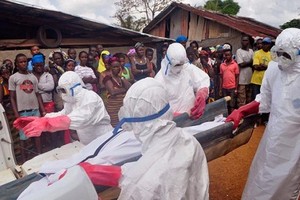 Hàng loạt bác sĩ tử vong vì nhiễm Ebola